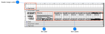 Examples of Label Formats