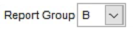 1. The Report Group "B" creates the Subtotal value on the report